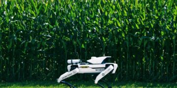 Robot Dogs Patrolling Precious Crops as Food Crisis Deepens