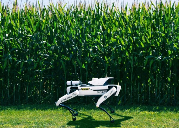 Robot Dogs Patrolling Precious Crops as Food Crisis Deepens