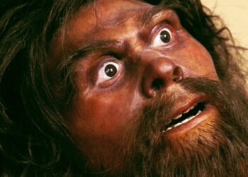 You Are Not Prepared to Learn the Size of Neanderthal Infants