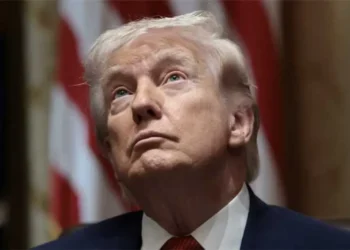 NRA scrambles to play down ’embarrassing’ Trump snub: report