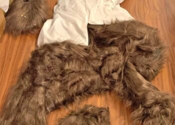 A bizarre insurance scam was exposed as ‘clearly a human in a bear suit’ damaging luxury cars