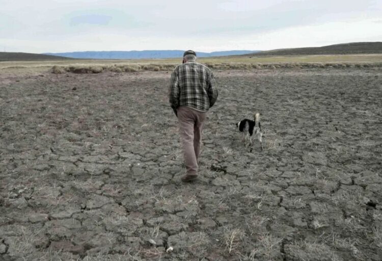 The record-setting U.S. drought is so bad that 97% of the Southeast and two-thirds of the West are parched