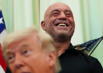 Trump speeds review of psychedelics after Joe Rogan texted him about ibogaine. ‘Sounds great. Do you want FDA approval? Let’s do it’