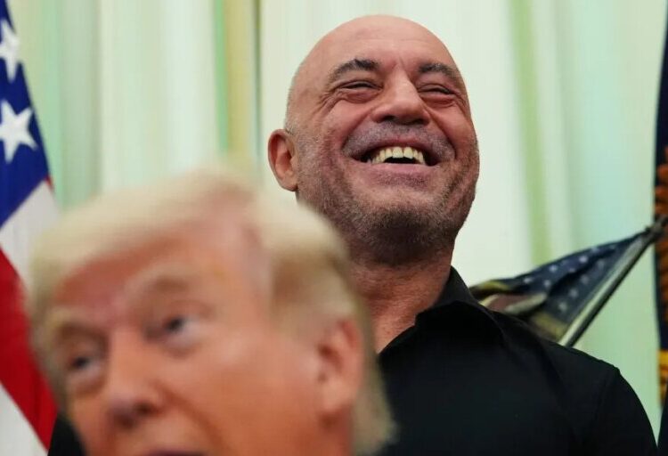 Trump speeds review of psychedelics after Joe Rogan texted him about ibogaine. ‘Sounds great. Do you want FDA approval? Let’s do it’
