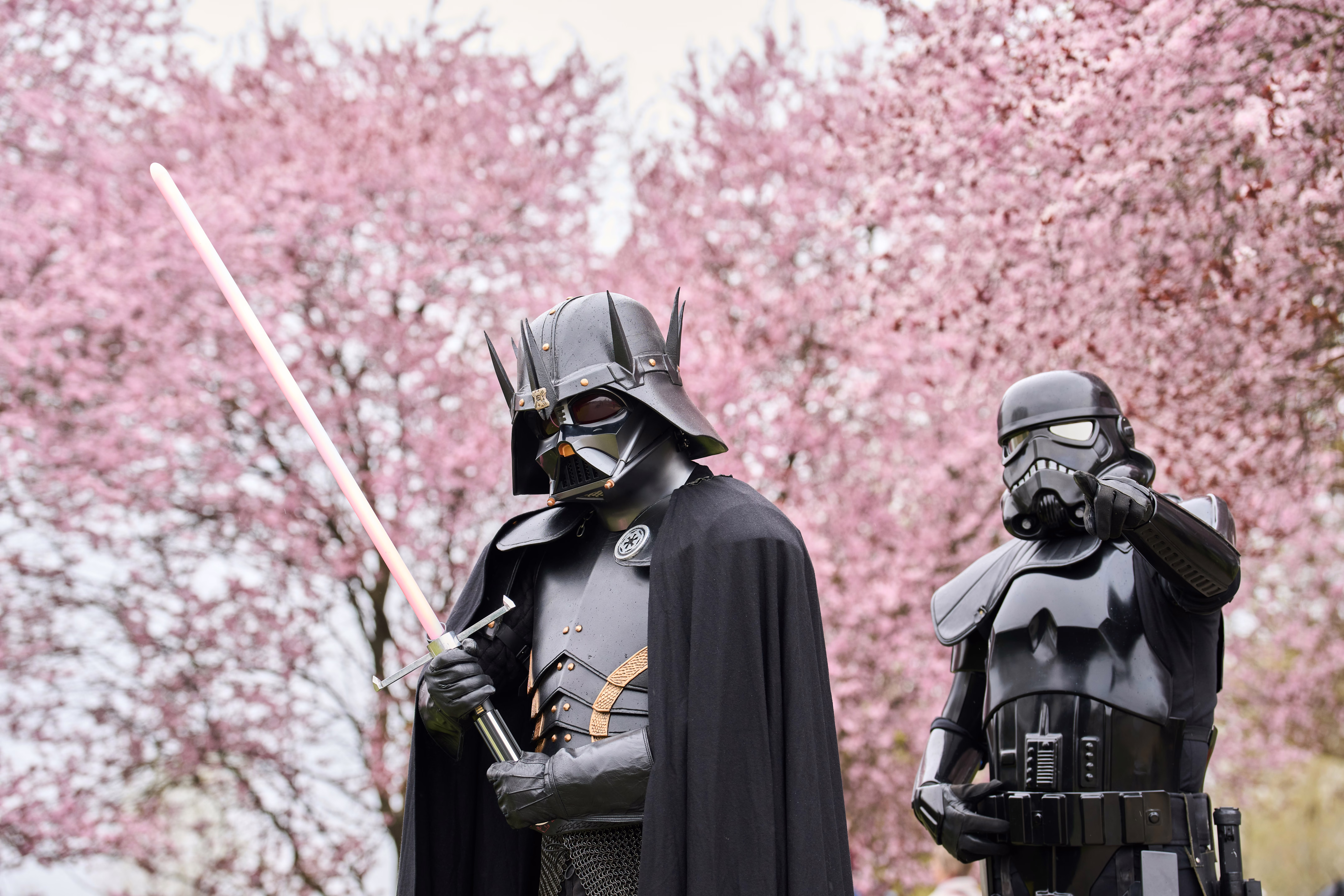 Two people wearing Star Wars–themed costumes walk beside blooming cherry trees.
