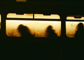 The Advent of Fare-Gate Society