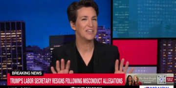 Rachel Maddow delivers withering send-off for ousted Cabinet member: ‘Hits kept coming!’
