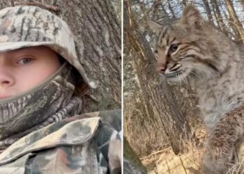 Wisconsin teen mauled by bobcat during turkey hunt in terrifying viral video