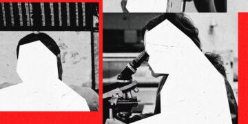 The Case of the Disappearing Scientists