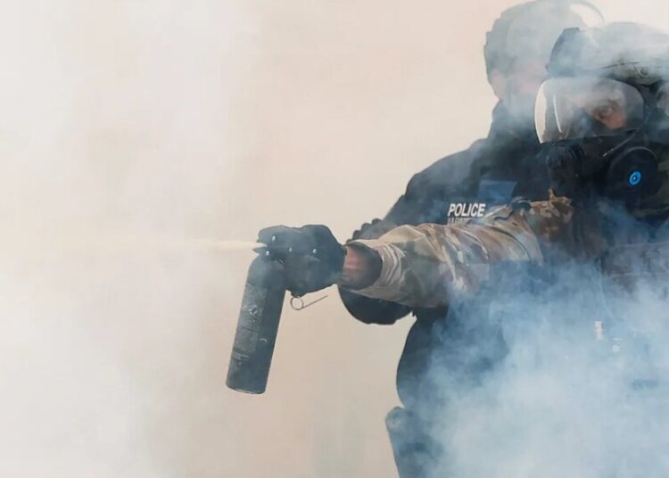 Hundreds of detained immigrants launch hunger strike at Michigan ICE facility