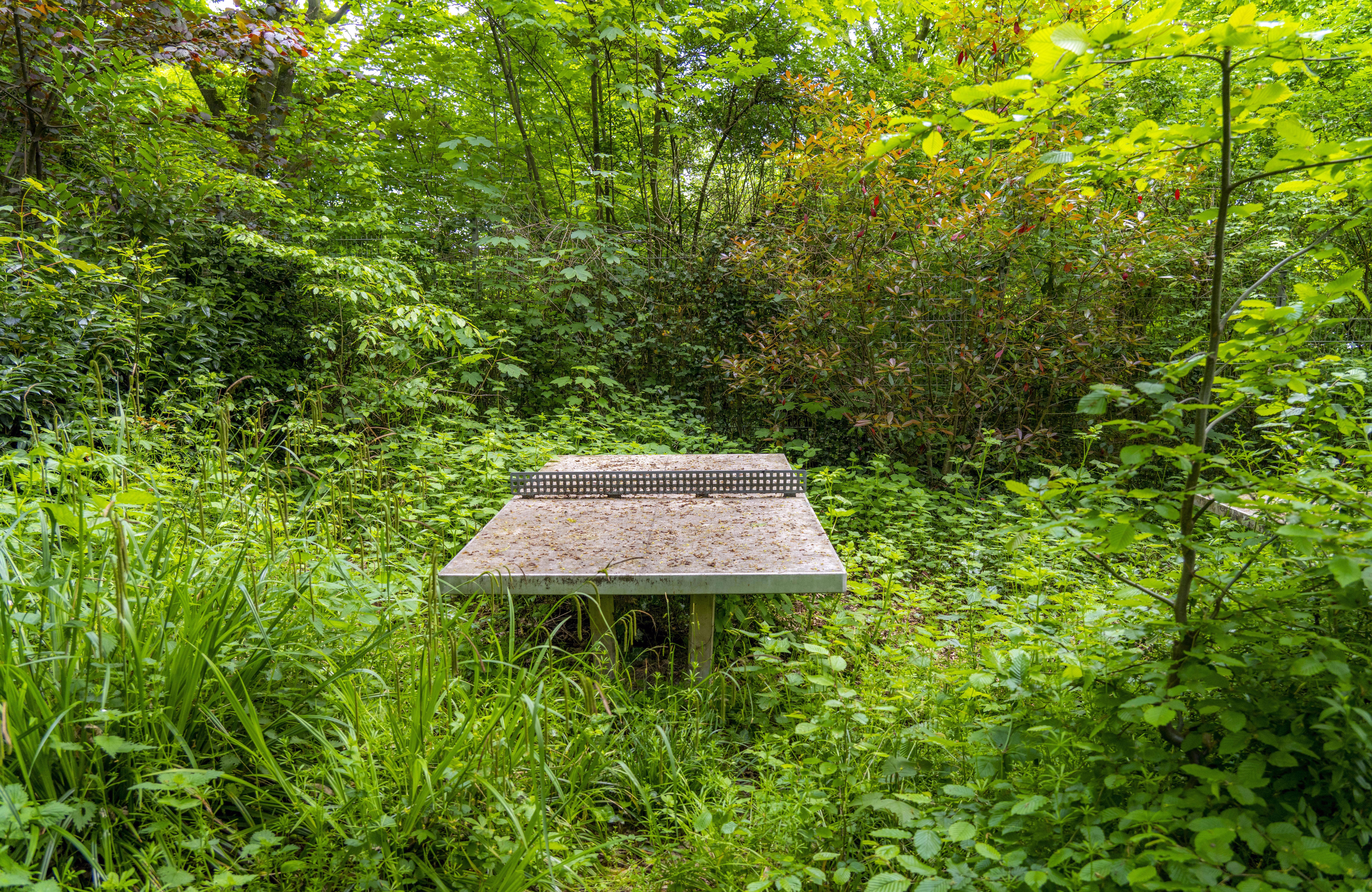 An old table-tennis table sits in an abandoned playground, overgrown by plants.