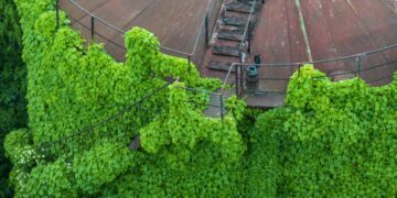 Photos: Reclaimed by Nature