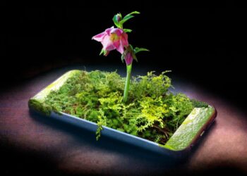 Dry January, but for Your Smartphone