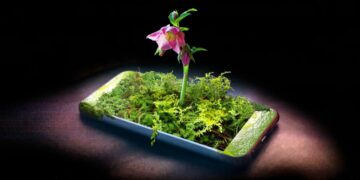 Dry January, but for Your Smartphone