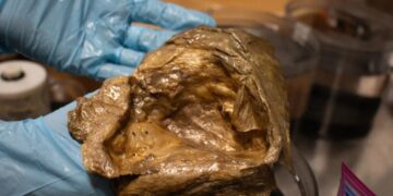 Scientists Say They’ve Figured Out What That Golden Orb Found at the Bottom of the Pacific Ocean Actually Was