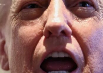 Plan hatches to impeach Trump on ‘day 1’ if Dems take House control in November: Axios