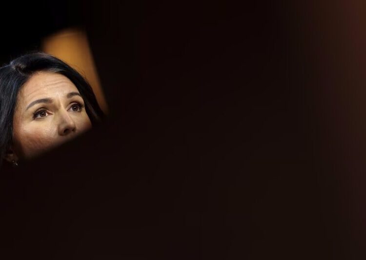 Where Is Tulsi Gabbard?