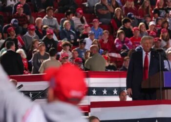 GOP strategist urges candidates to break from Trump ahead of midterms