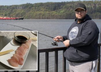 Fishy: NYC man makes sushi from bass he catches in Hudson River: ‘Crazy’