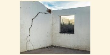 Two Poems by Luis Muñoz