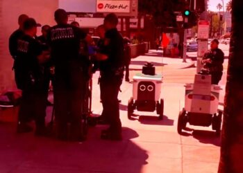 Two Delivery Bots Blunder Into the Middle of a Police Incident, Have Awkward Standoff