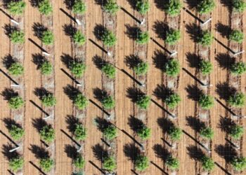 Let’s Use AI to Build a Better World Rather Than Allow AI to Define Our Future