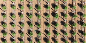 Let’s Use AI to Build a Better World Rather Than Allow AI to Define Our Future