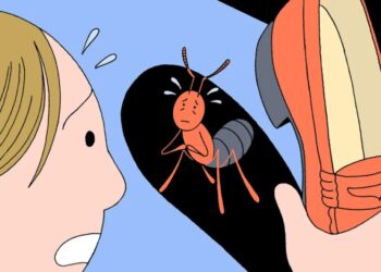 Should you feel guilty for killing the bugs in your house?