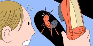 Should you feel guilty for killing the bugs in your house?