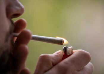 ‘Proven false’: Conservative Wall Street Journal slams Trump move to placate ‘pot lobby’