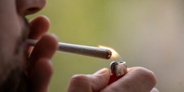 ‘Proven false’: Conservative Wall Street Journal slams Trump move to placate ‘pot lobby’