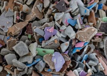 Toxic chemicals are raising infertility in humans, fish, birds, and insects: ‘A whisper that is powerful enough to redirect a hurricane’