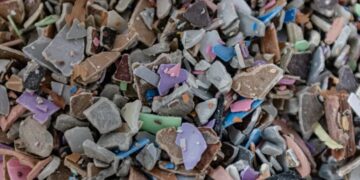 Toxic chemicals are raising infertility in humans, fish, birds, and insects: ‘A whisper that is powerful enough to redirect a hurricane’