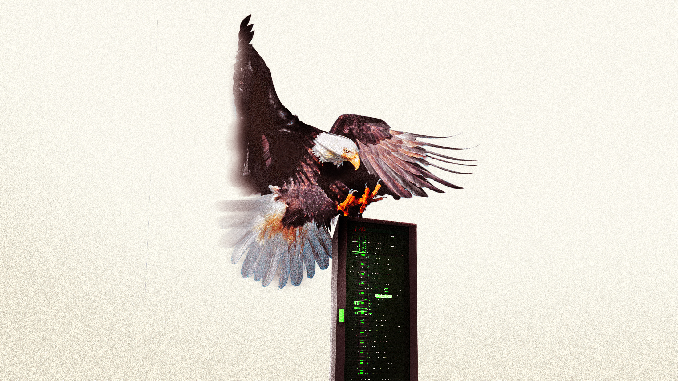 An eagle swooping in on a server