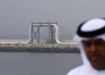 ‘Take the money and run’: Johns Hopkins economist Steve Hanke on why the UAE quit OPEC