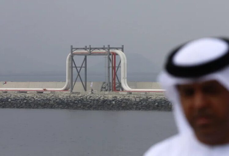 ‘Take the money and run’: Johns Hopkins economist Steve Hanke on why the UAE quit OPEC