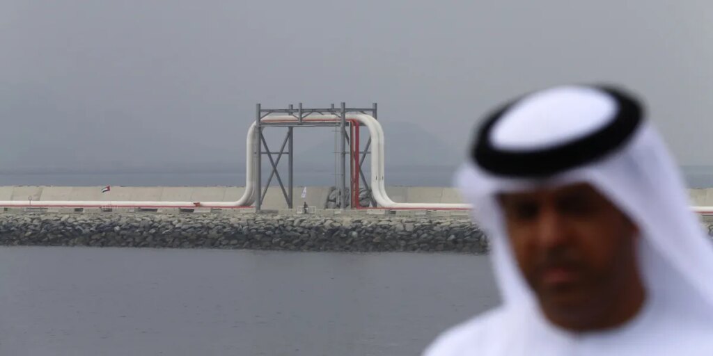 ‘Take the money and run’: Johns Hopkins economist Steve Hanke on why the UAE quit OPEC