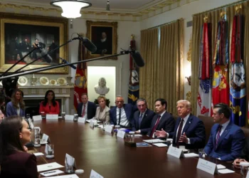 ‘No Republican wants to run’: GOP strategist gives grim read of Trump’s impact on midterms