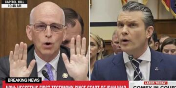 ‘Whoa, whoa, whoa’: Congressman cuts off Pete Hegseth in tense hearing
