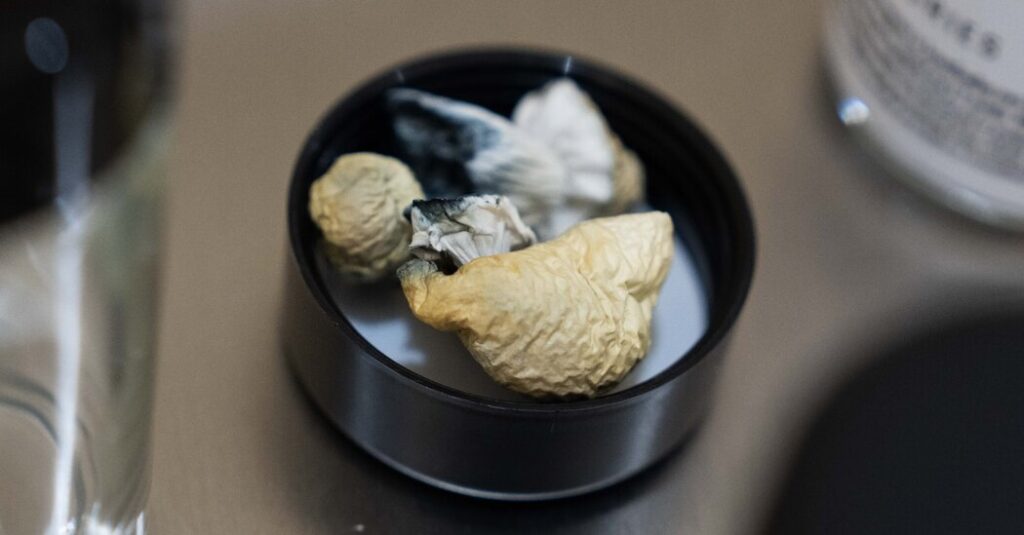 Trump Expected to Loosen Restrictions on Psychedelic Drugs