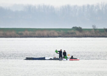The Long, Slow Race to Save Timmy, Germany’s Favorite Whale