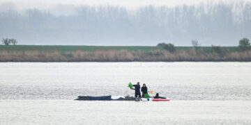 The Long, Slow Race to Save Timmy, Germany’s Favorite Whale