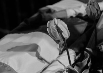 What Liberals Should Learn From the End of Orbanism