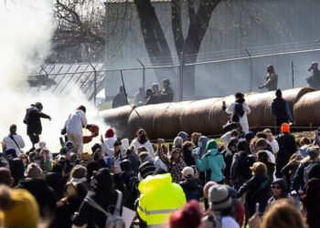 Activists Tear-Gassed at Failed Raid of Beagle Research Facility