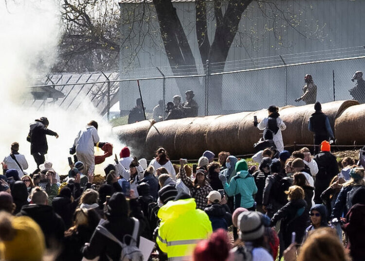 Activists Tear-Gassed at Failed Raid of Beagle Research Facility