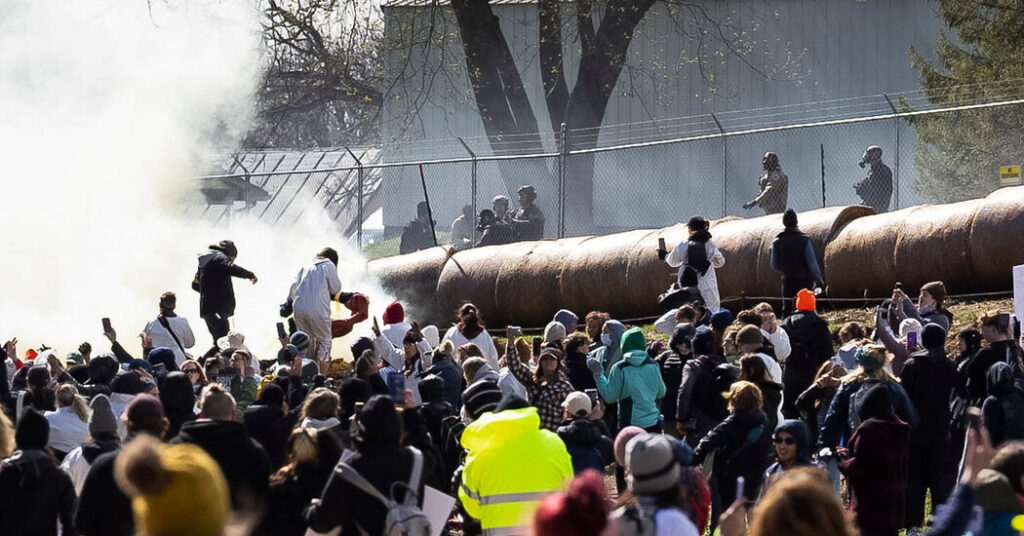 Activists Tear-Gassed at Failed Raid of Beagle Research Facility