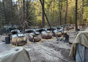 4 Drug Lab Investigators Die in Car Crash in Mexico