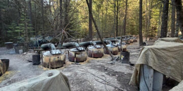 4 Drug Lab Investigators Die in Car Crash in Mexico