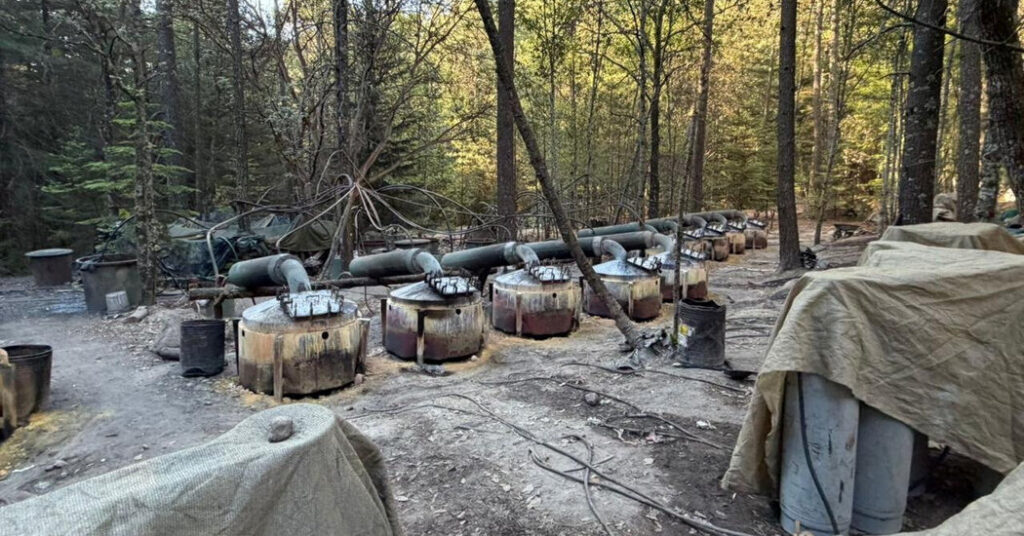 4 Drug Lab Investigators Die in Car Crash in Mexico