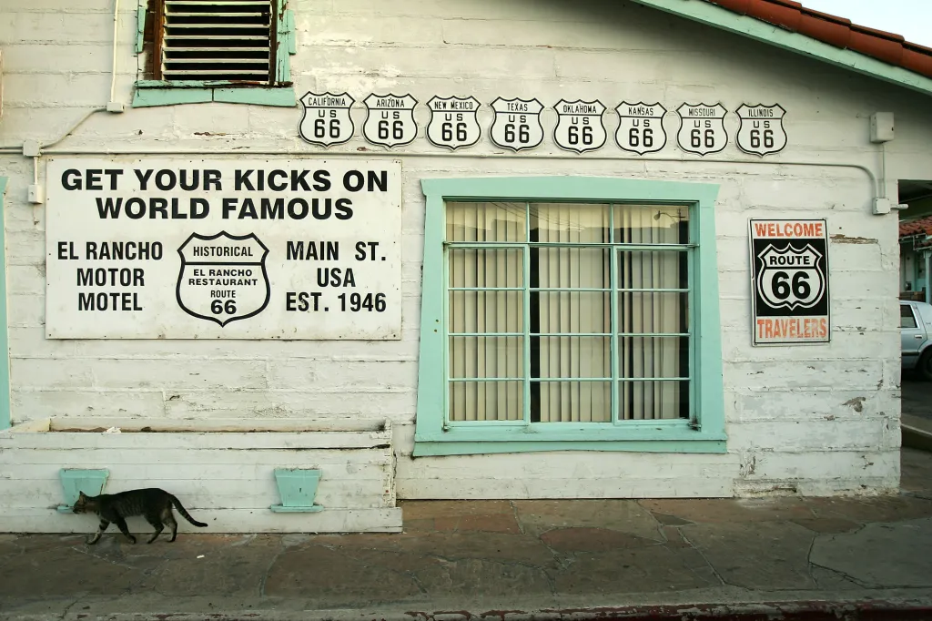 A cat walks past Route 66 signs on the El Rancho Motel in Barstow, California.